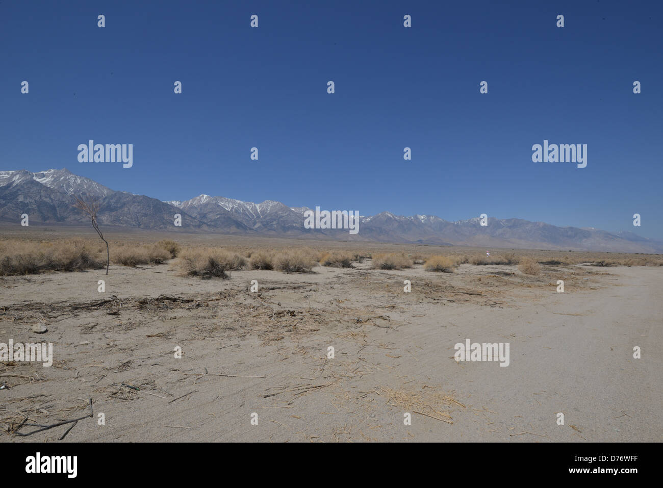 Manzanar relocation camp in California Stock Photo - Alamy