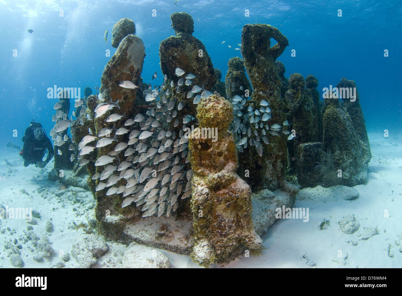 Underwater view school fishes sculptures at Cancun Underwater Museum