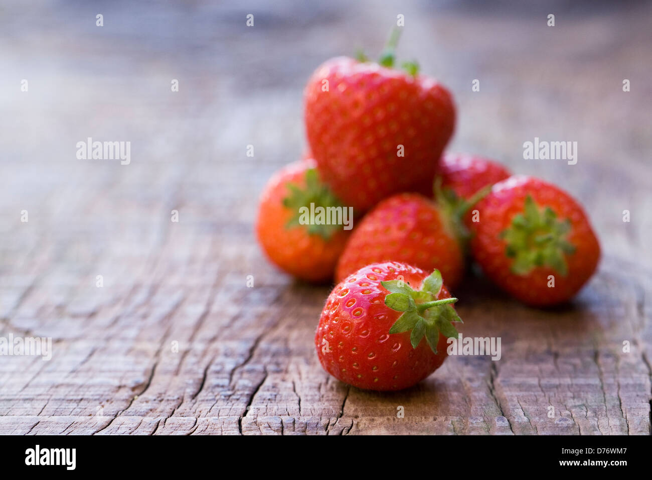 Fragaria. Strawberry 'Sonata' on a wooden board. Stock Photo