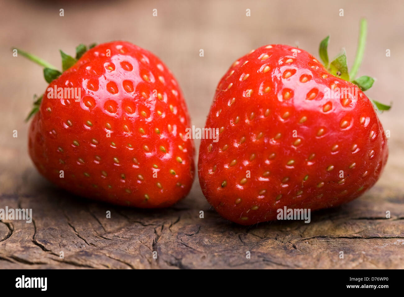 Fragaria 'Sonata'. Two strawberries on a wooden board. Stock Photo