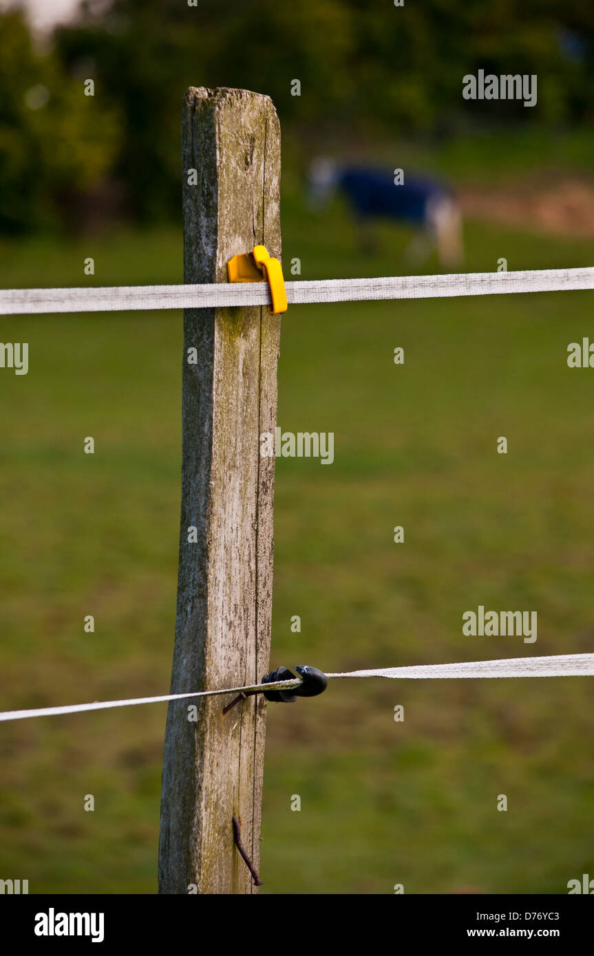 electric fence tape Stock Photo Alamy