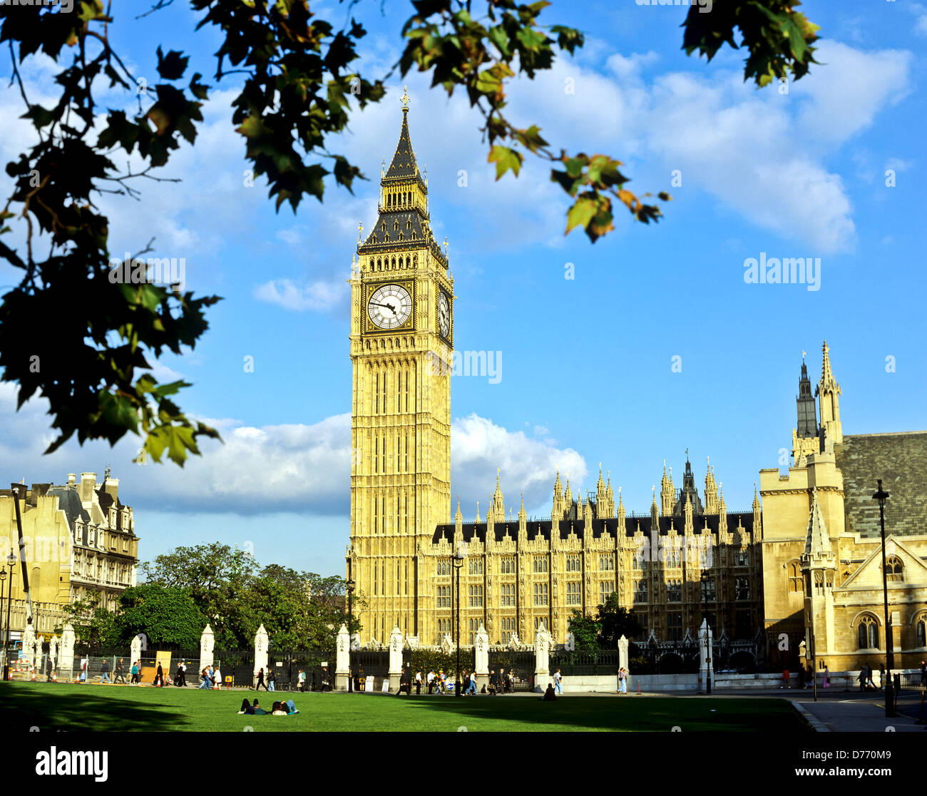 My Image 23