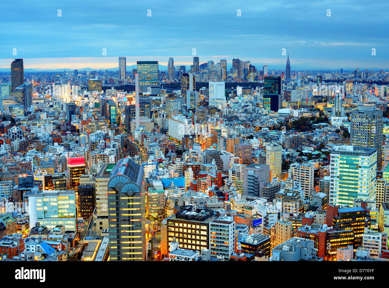 Skyline of Tokyo, Japan towards Shinjuku Stock Photo