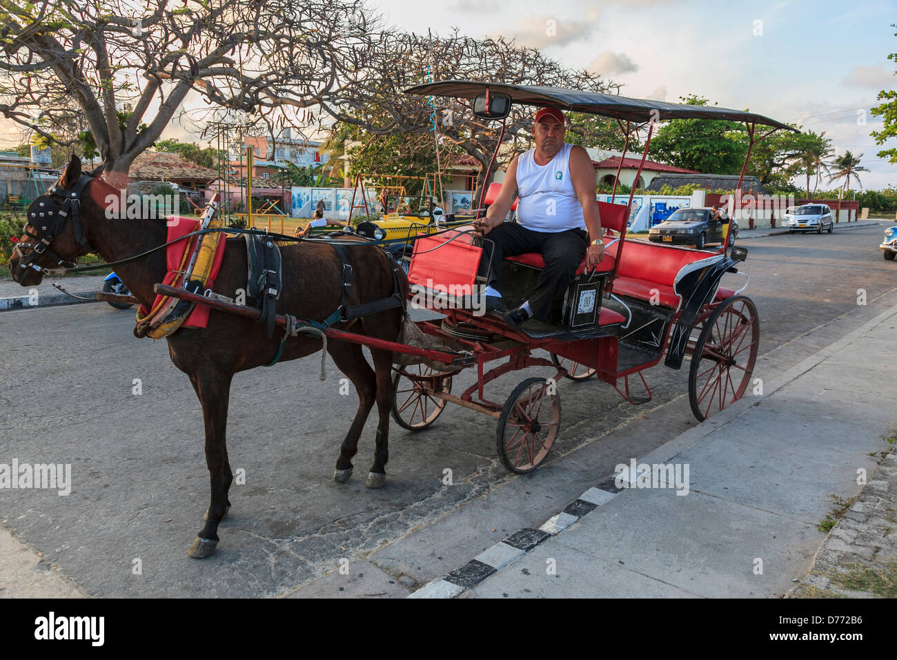 Horse carriage on a street of Cuba Stock Photo