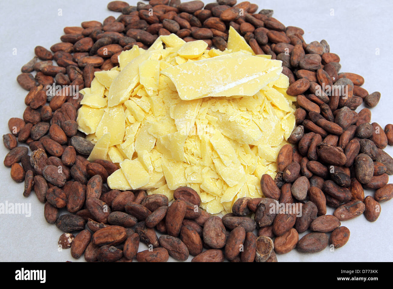 Handewitt, Germany, cocoa butter and toasted cocoa beans in a chocolate