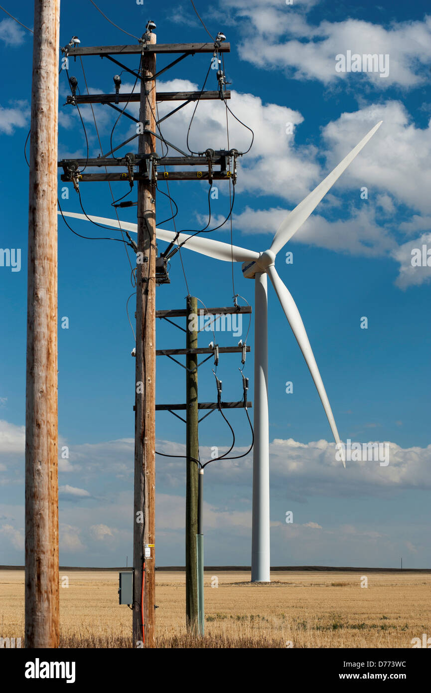 Canada Alberta Wind turbine power lines on field Stock Photo Alamy
