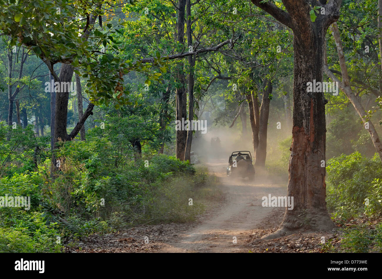 India Uttarakhand state Corbett National Park off road vehicle ride in the forest Stock Photo