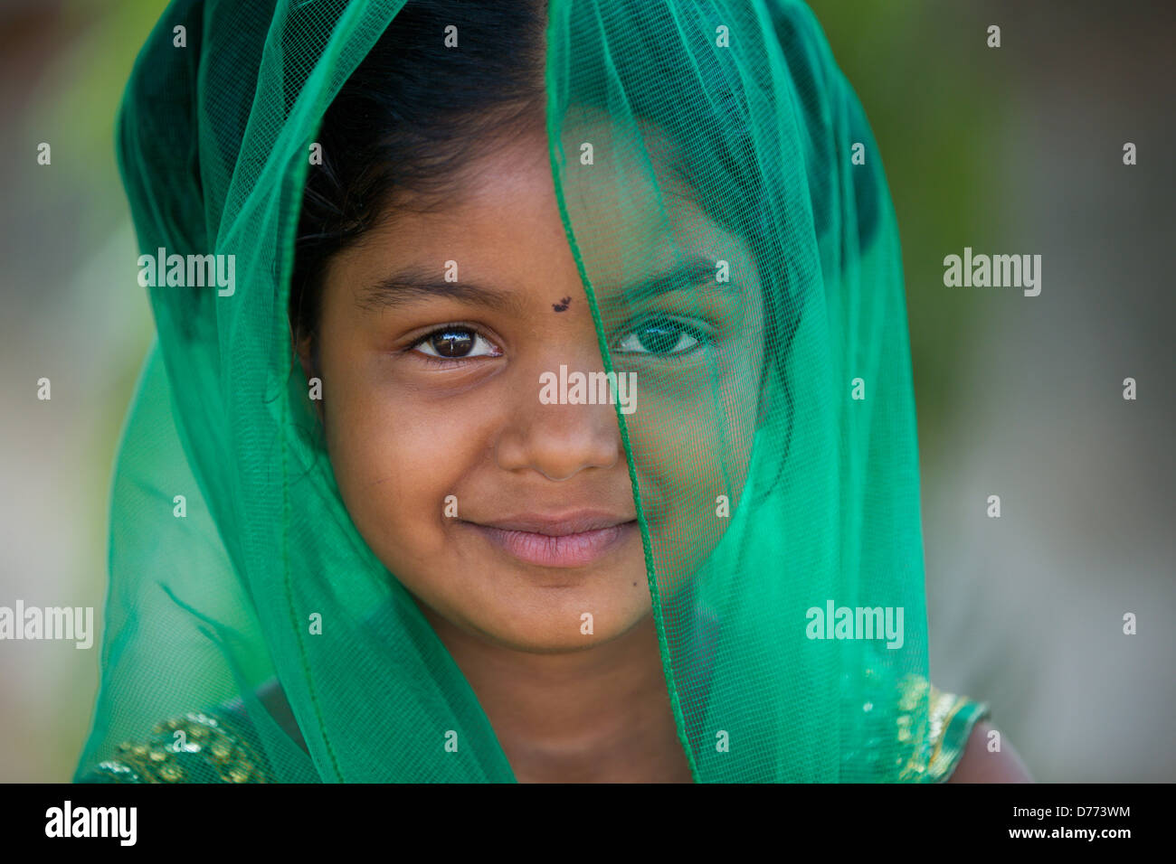 Indian girl Shalini with veil Andhra Pradesh South India Stock Photo ...