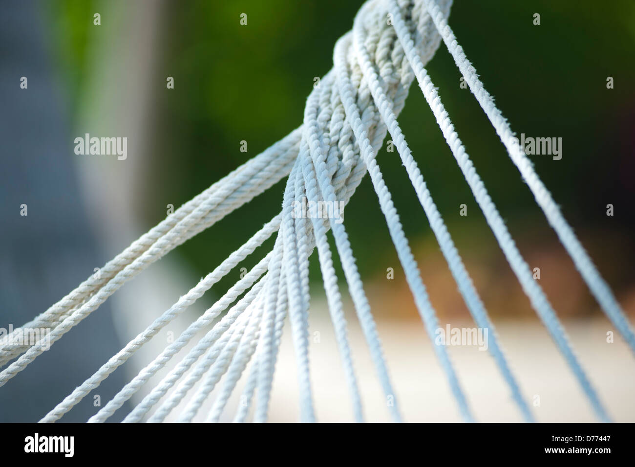 Beach Hammock Macro Stock Photo Alamy