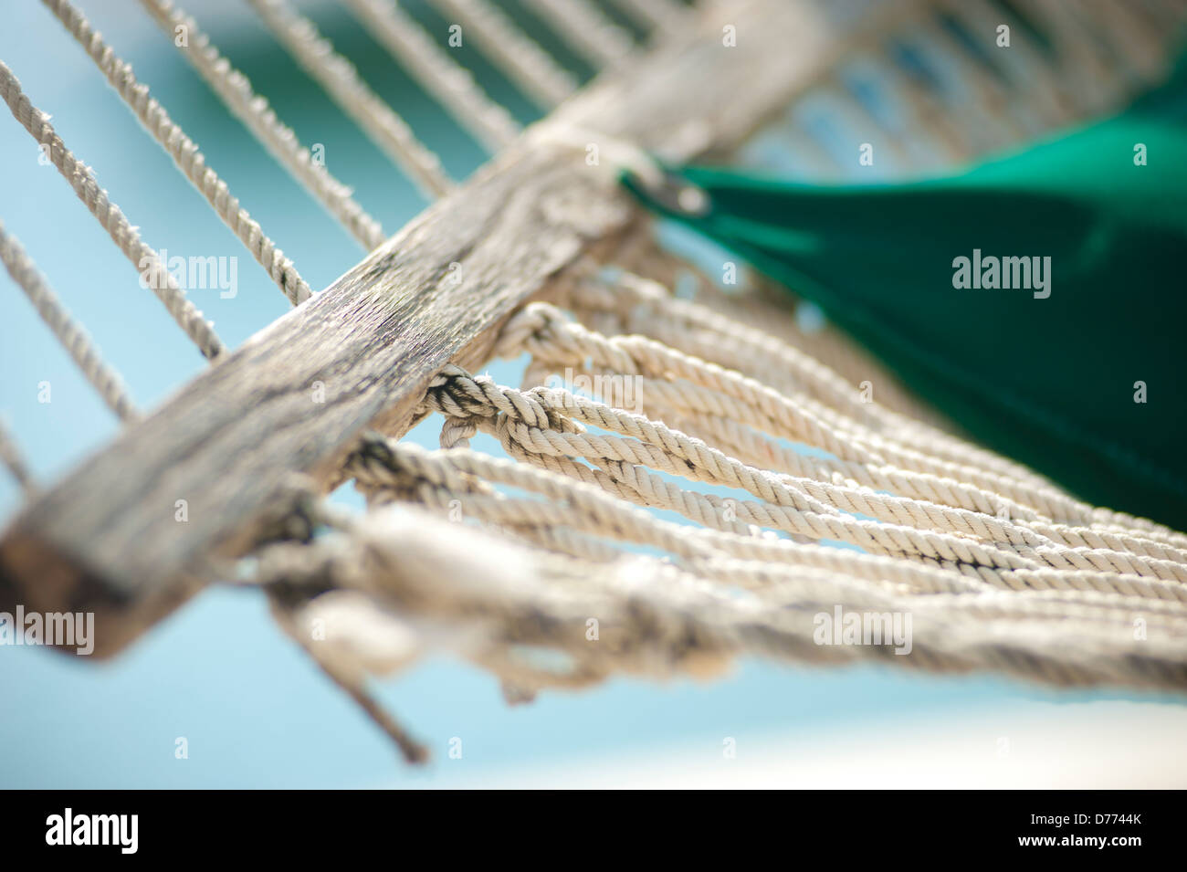 Beach Hammock Macro Stock Photo Alamy