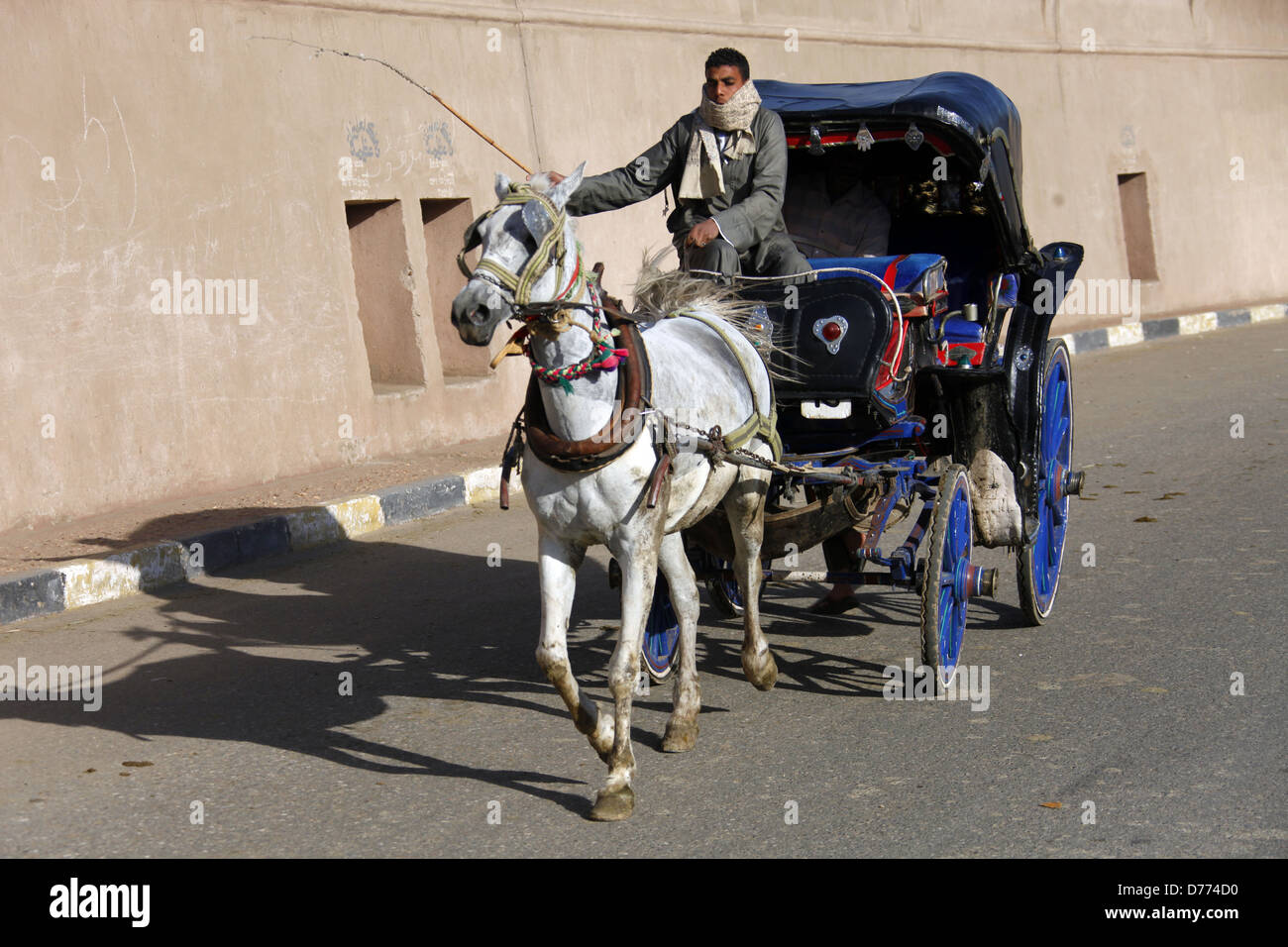 EGYPTIAN HORSE & CARRIAGE EDFU EGYPT 09 January 2013 Stock Photo Alamy
