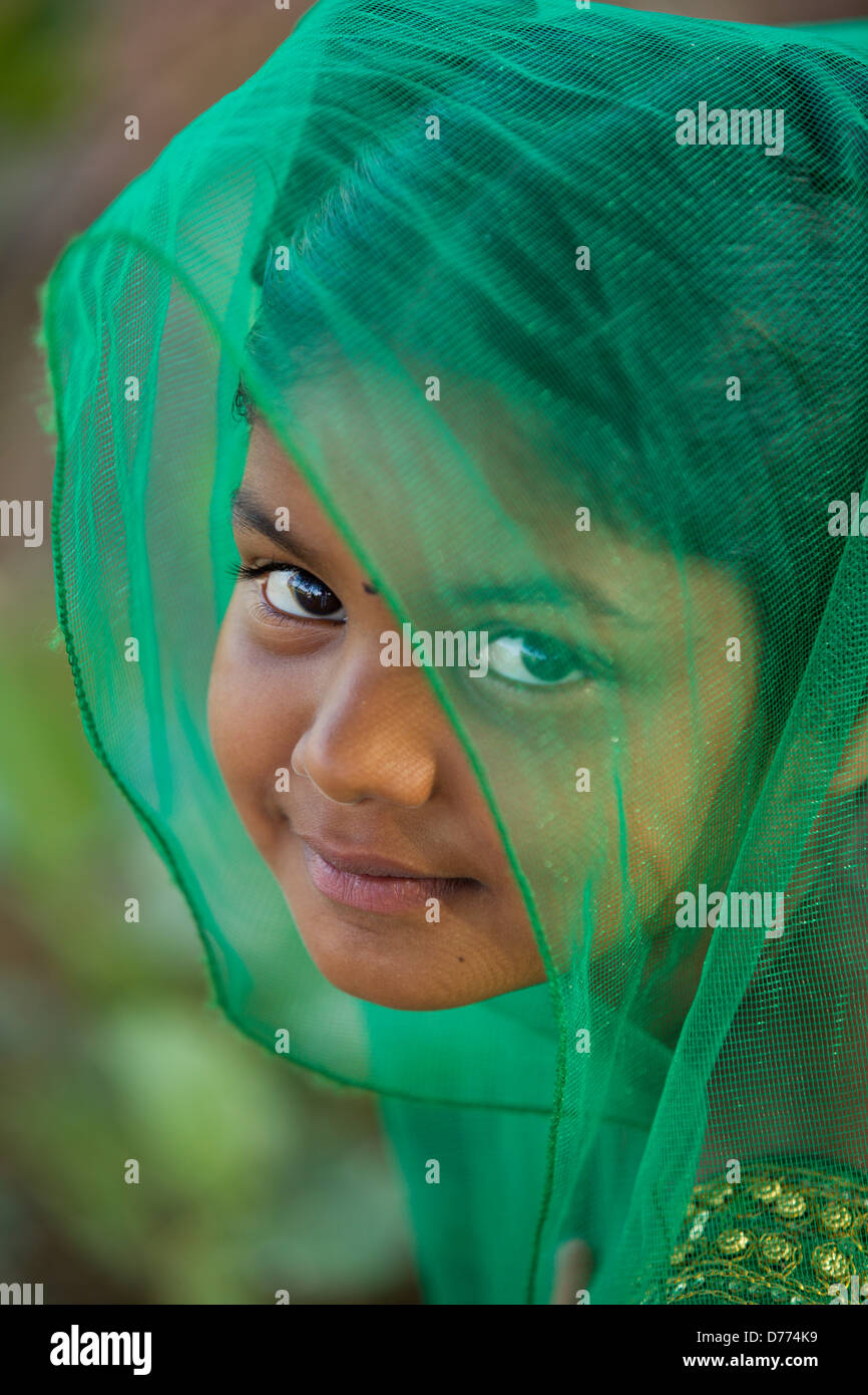 Indian girl Shalini with veil Andhra Pradesh South India Stock Photo ...