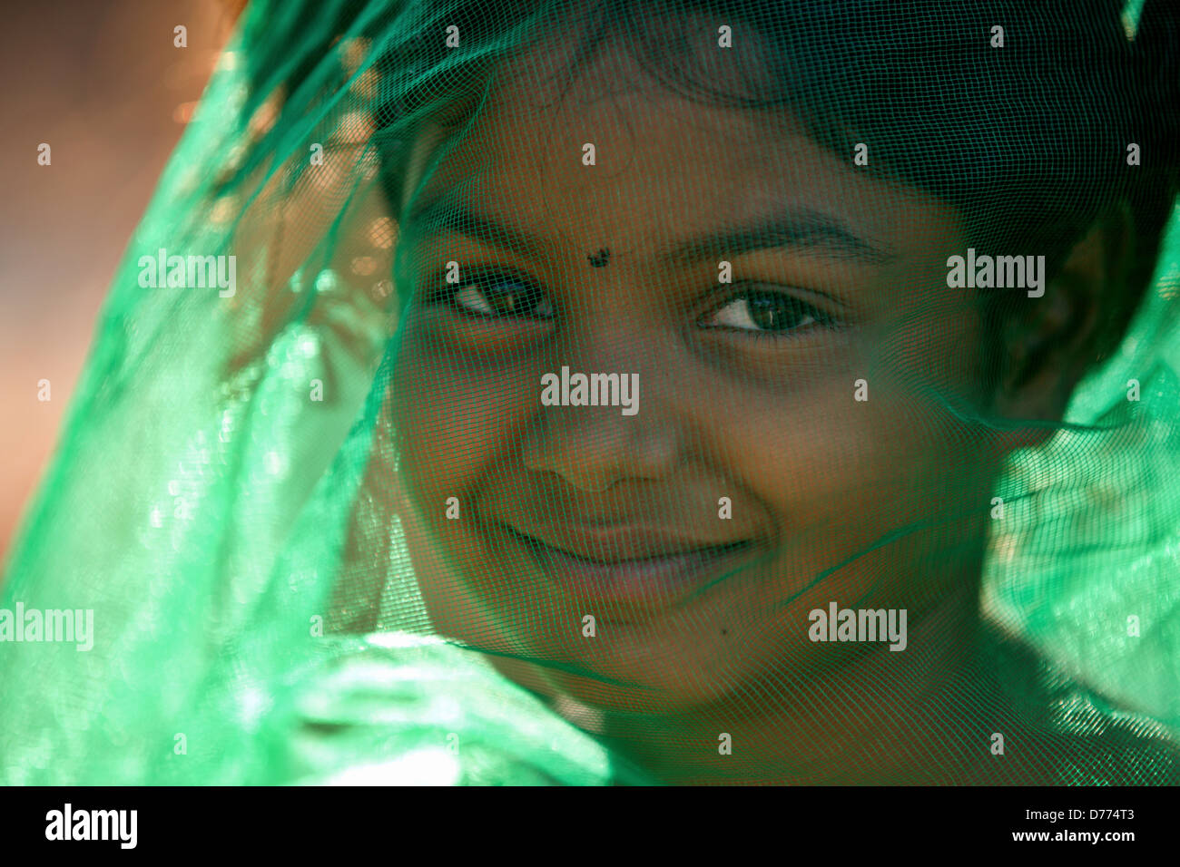 Indian girl Shalini with veil Andhra Pradesh South India Stock Photo ...