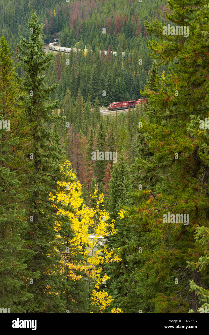Canada Alberta Canadian Pacific freight train at famous Spiral Tunnels