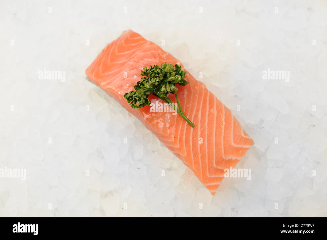salmon fillet Stock Photo
