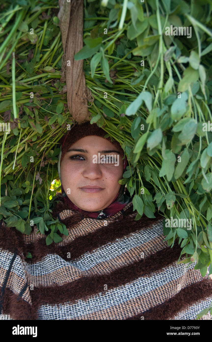 Female rural worker with crops Minya Egypt Stock Photo