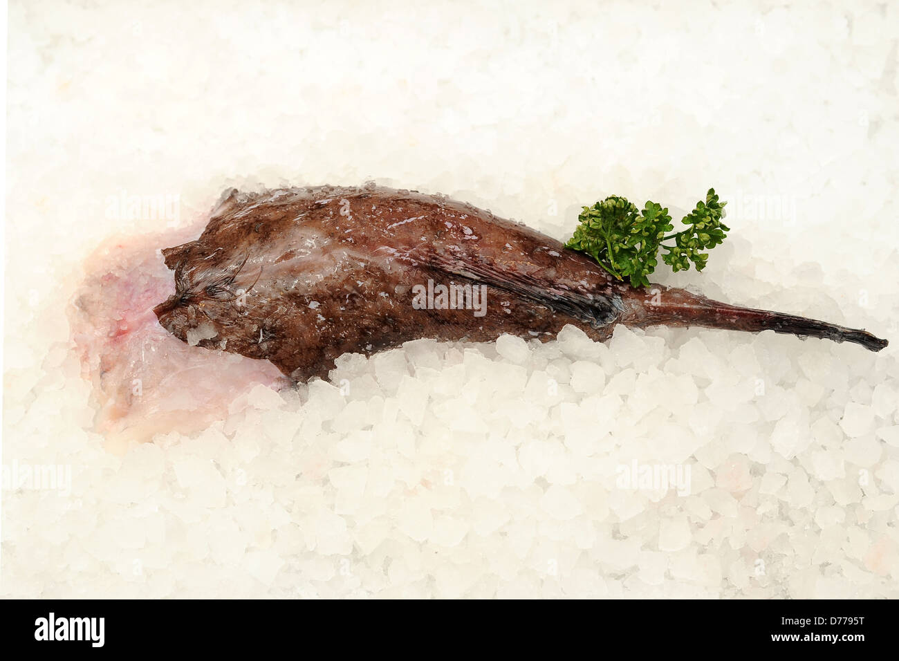 Monkfish tail. Stock Photo
