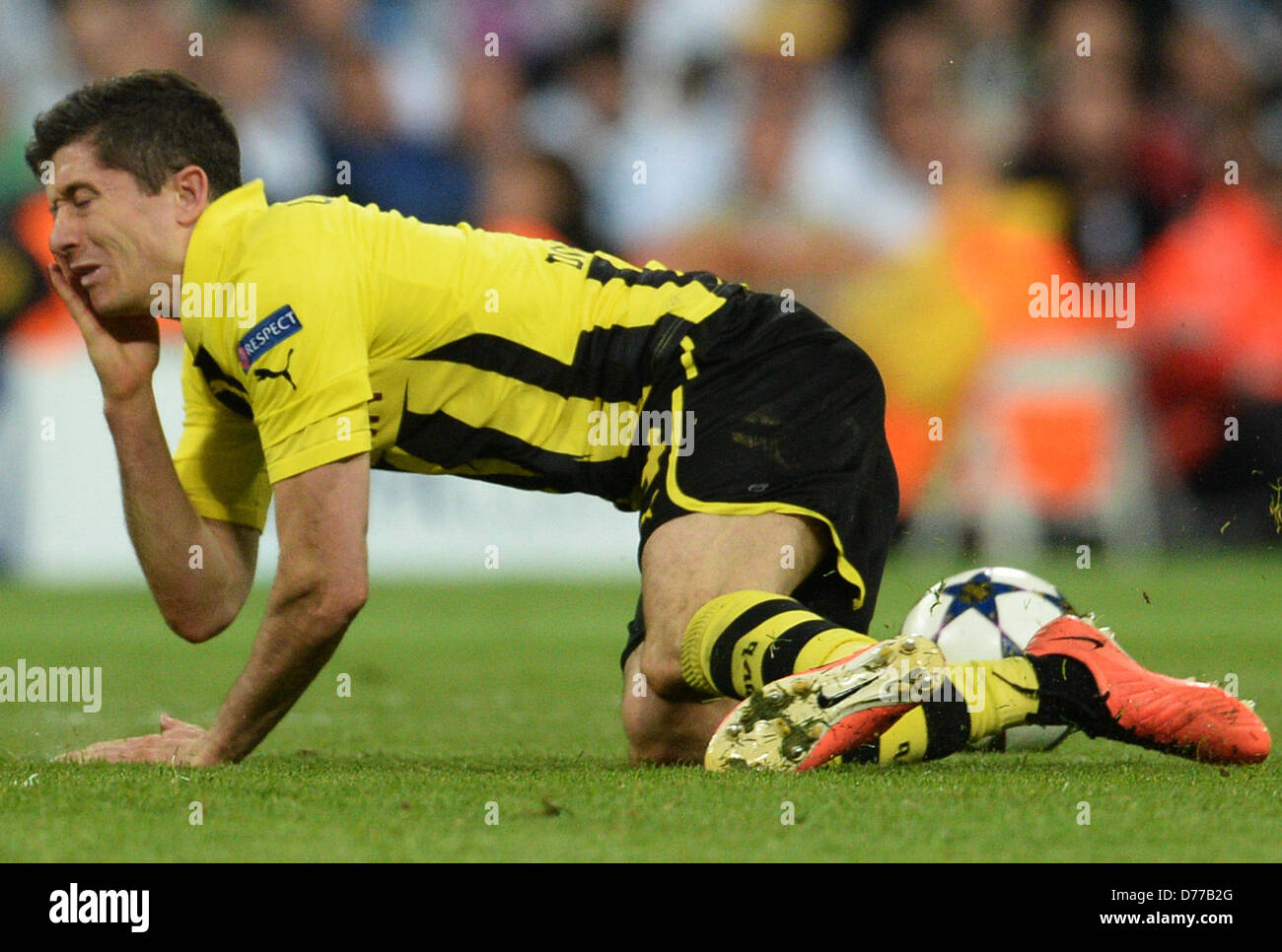 Dortmund S Robert Lewandowski Gestures During The Uefa Champions Stock Photo Alamy