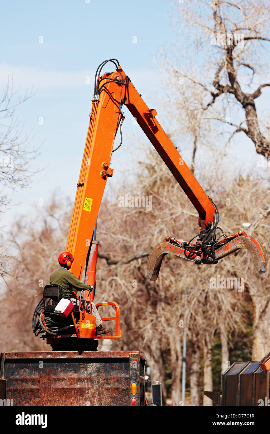 Loading Cut Limbs During Tree Trimming Operation Stock Photo