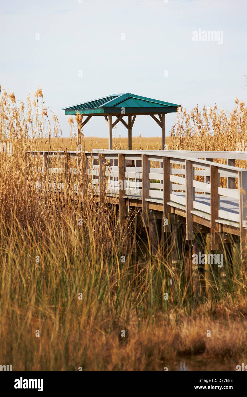 Nature walkway over marsh Sabine National Wildlife Refuge Cameron