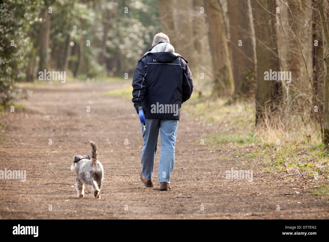 how many dogs can one person walk uk