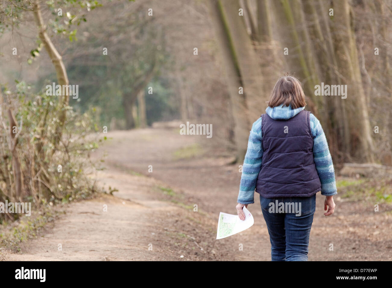 A middle aged woman walking on a path in the woods, from the rear, Suffolk UK Stock Photo