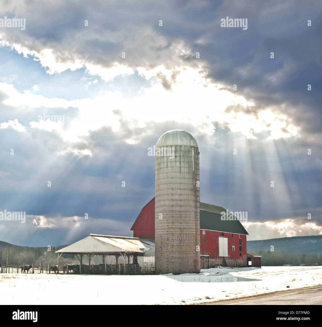 Winter scene barn and cows hi-res stock photography and images - Alamy