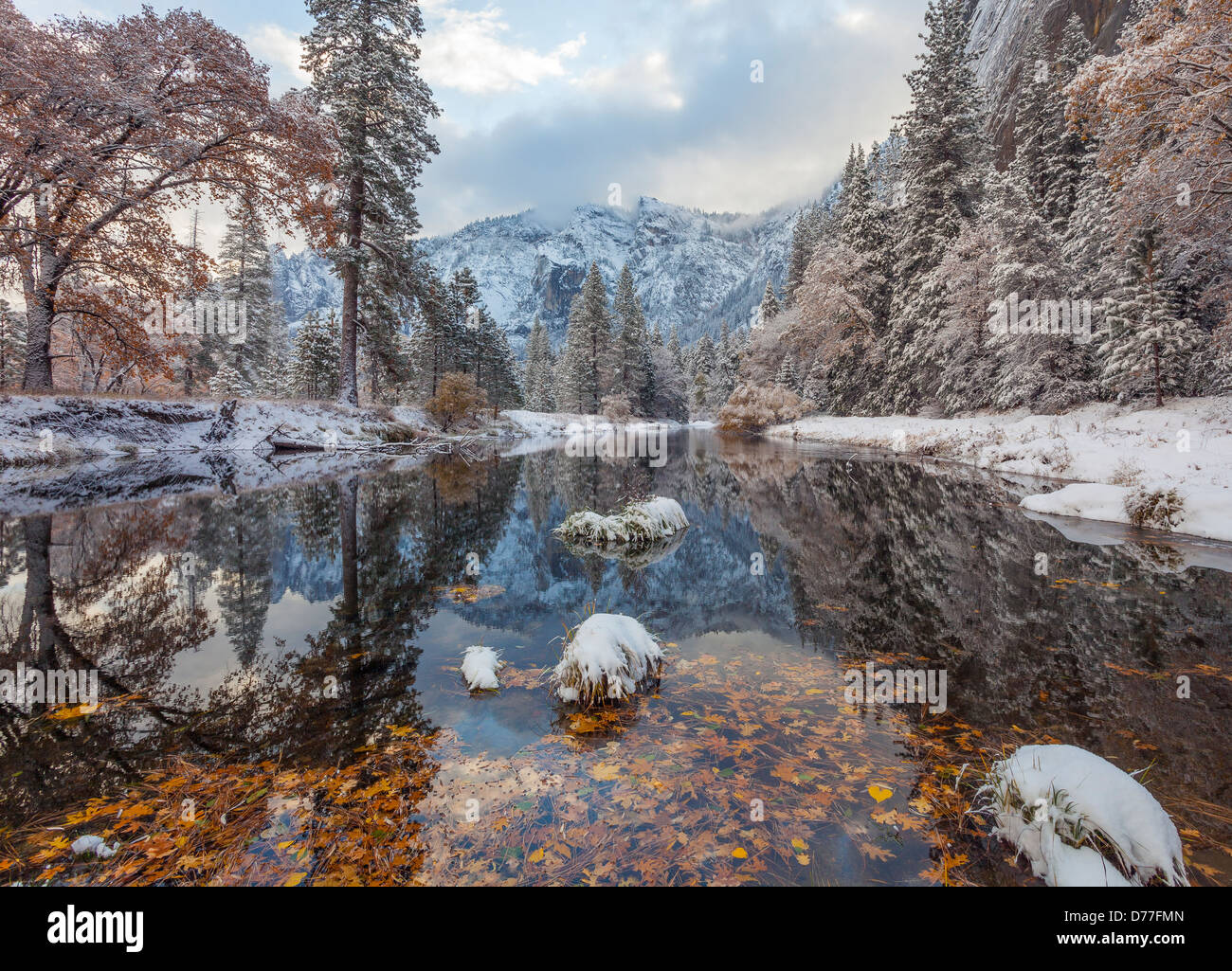 Park after snowfall hi-res stock photography and images - Alamy