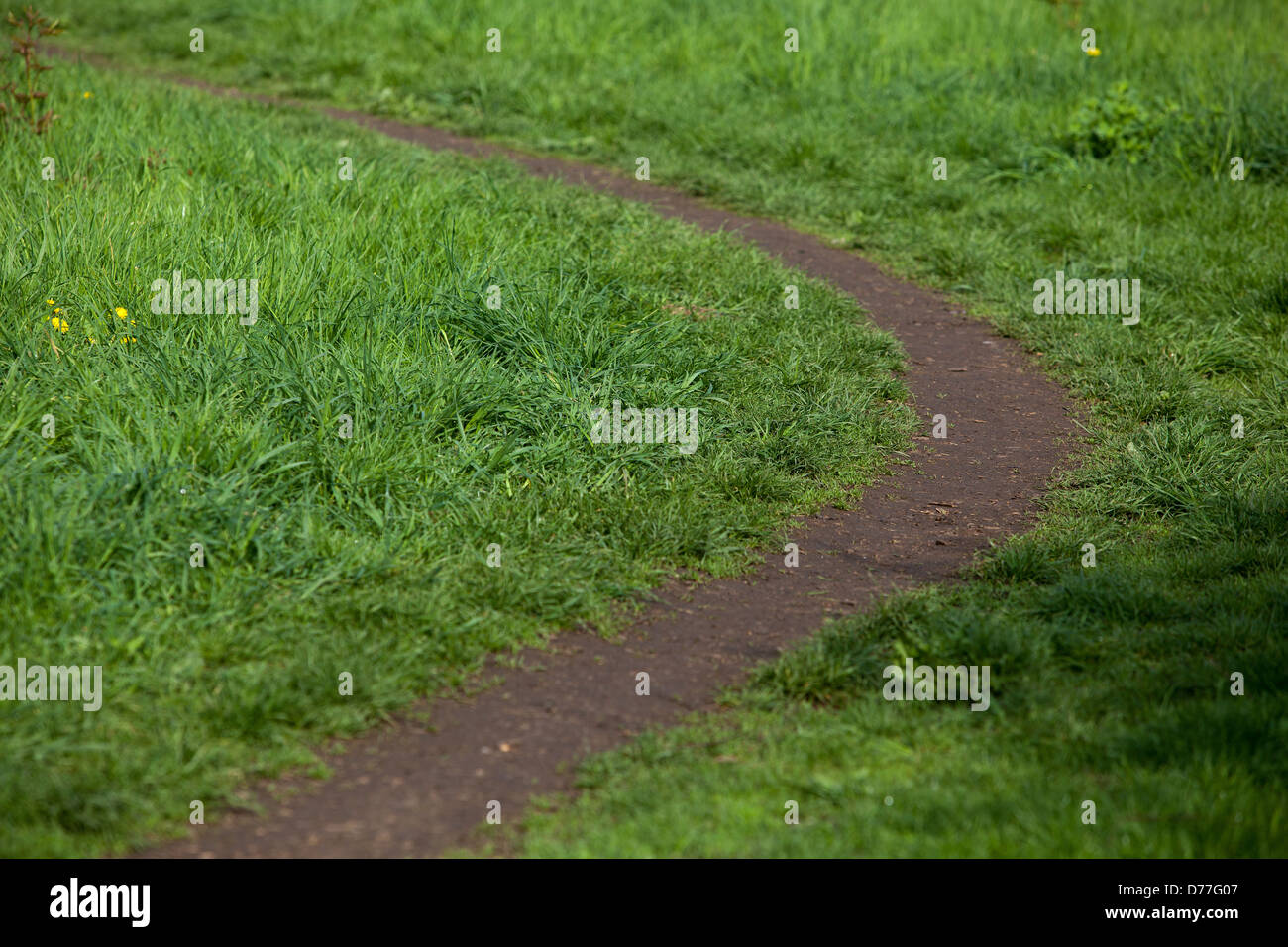 footpath in the landscape Czech Republic Stock Photo