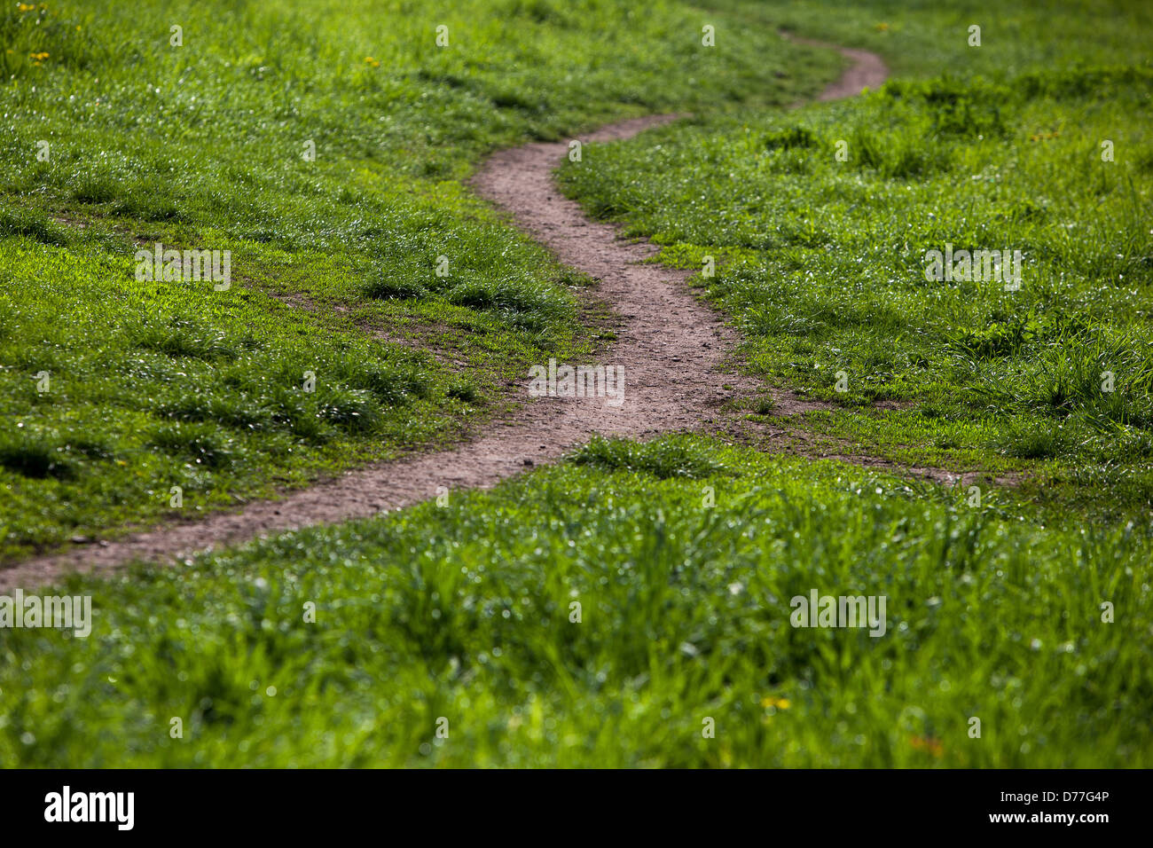 Footpath in the grass field landscape Czech Republic Europe grass field Stock Photo