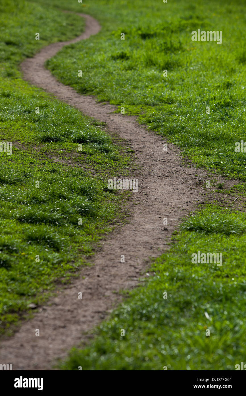 A beaten path leads through the meadow Stock Photo