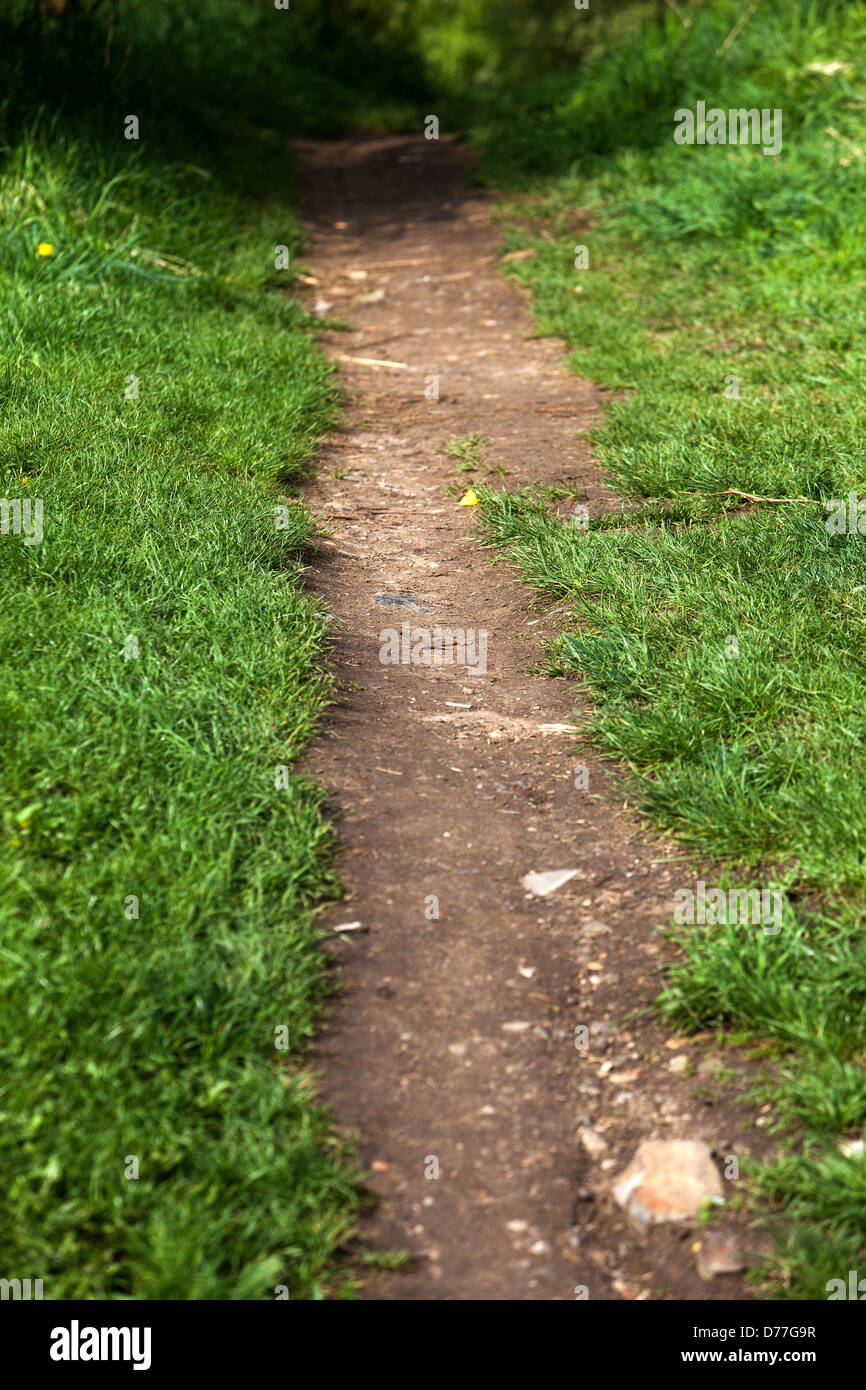 A beaten path leads through the meadow Stock Photo
