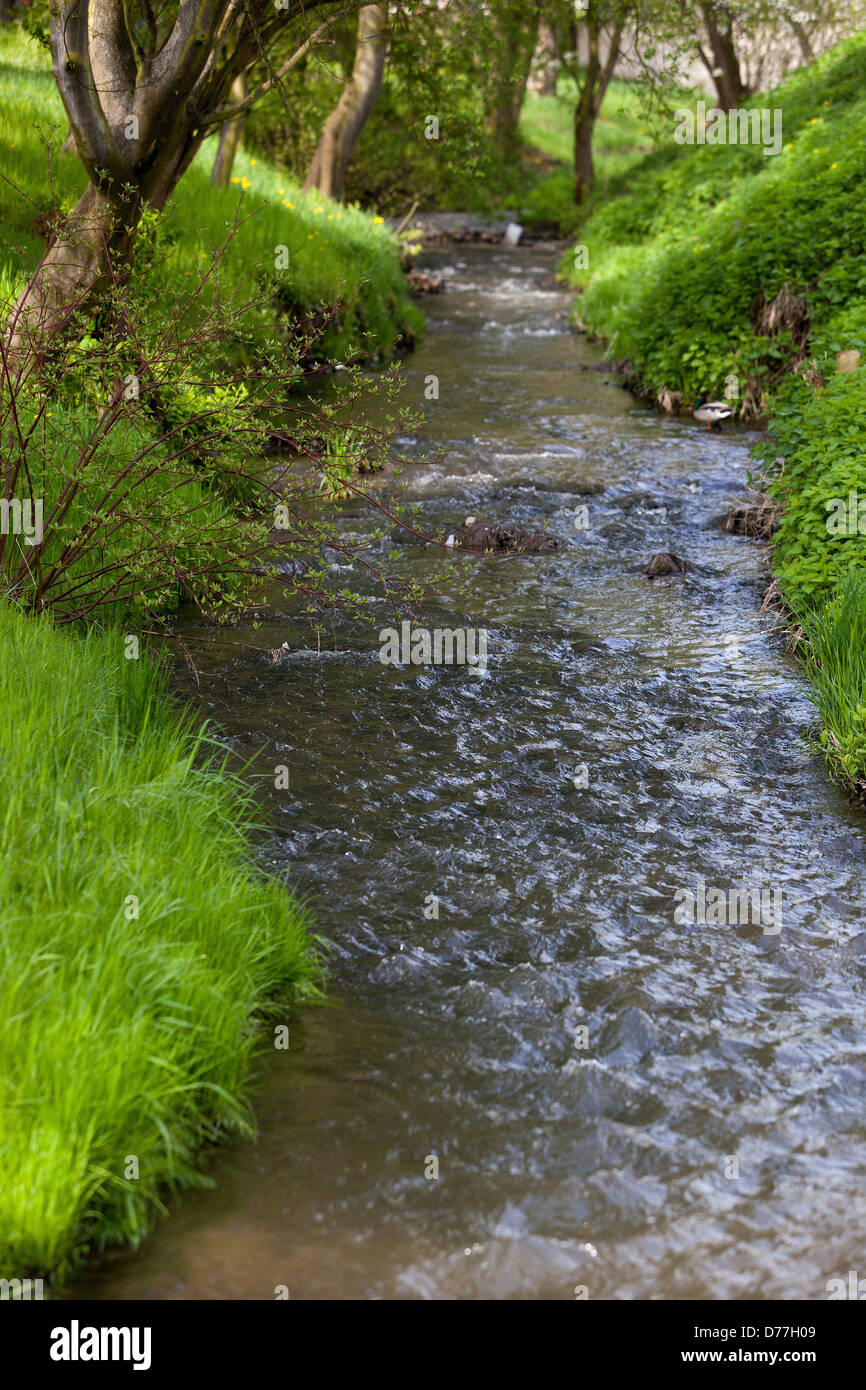 Flowing water, Spring stream bed Suburb Stock Photo