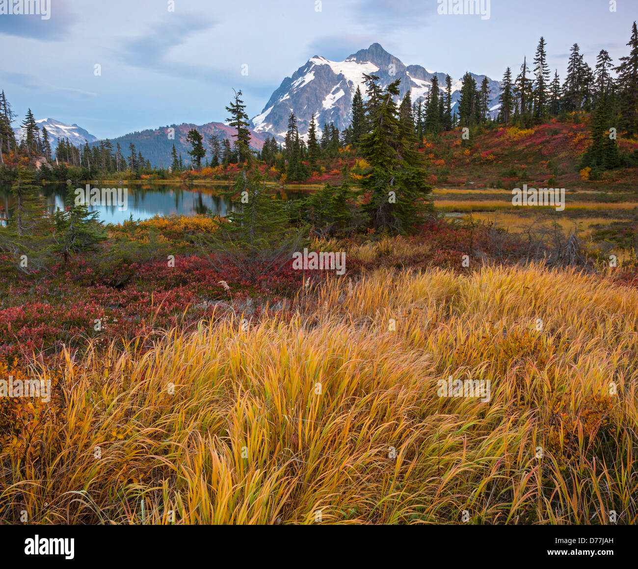Mount Baker-Snoqualmie National Forest, WA: Grasses and huckleberries in fall color at Picture Lake with Mount Shuksan at dusk Stock Photo