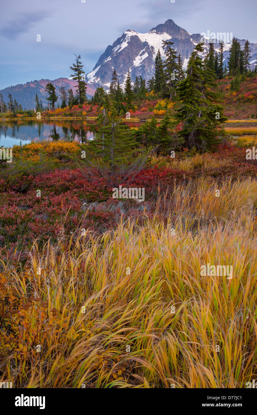 Mount Baker-Snoqualmie National Forest, WA: Grasses and huckleberries in fall color at Picture Lake with Mount Shuksan at dusk Stock Photo
