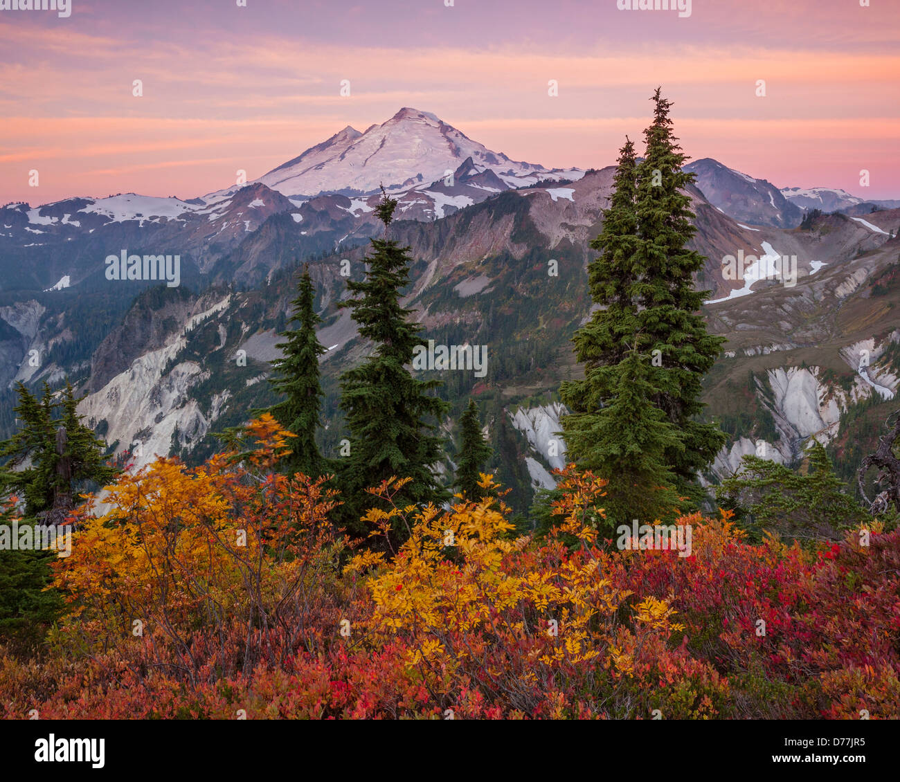 Mount BakerSnoqualmie National Forest, WA View of sunrise with Mount Baker from Artists Ridge