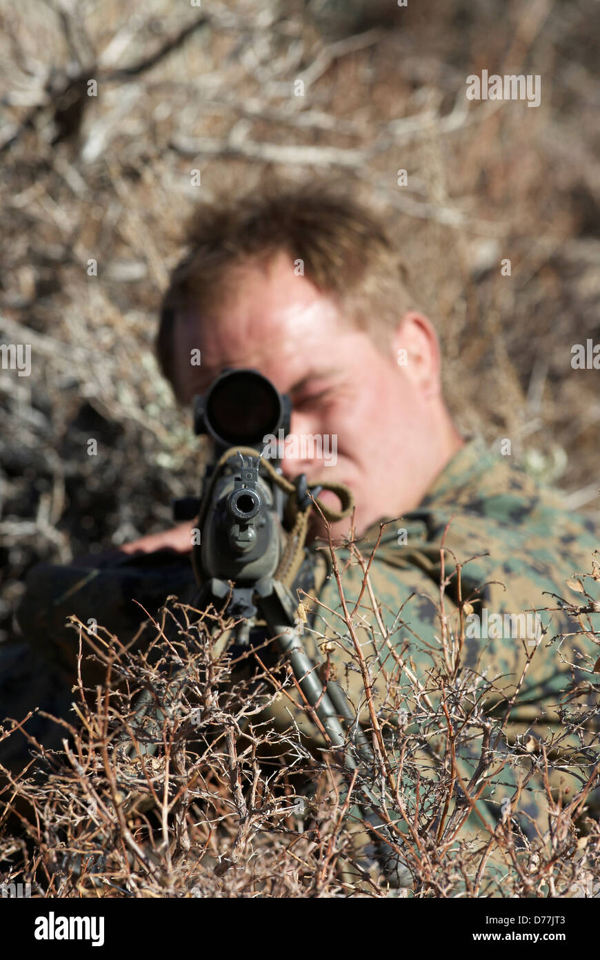 US Marine Corps Scout Sniper aiming M14 Designated Marksman Rifle during high angle mountain