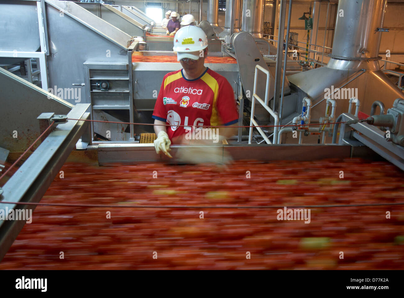 Tomato paste factory hires stock photography and images Alamy