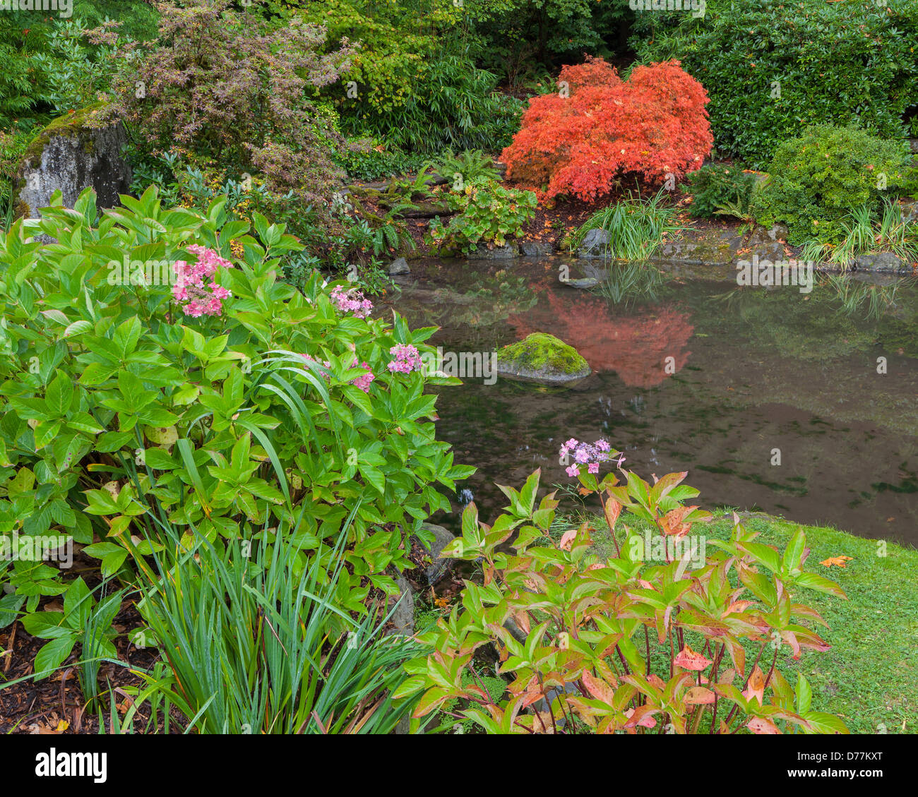 Kubota Garden, Seattle, WA: A small pond ringed with shrubs including ...