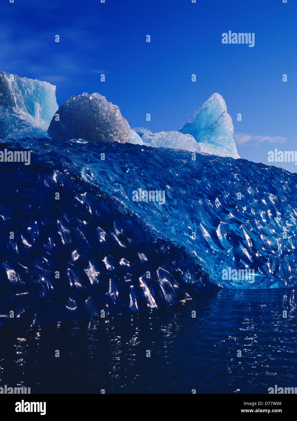Blue scalloped ice iceberg that minutes before split in two rolled over calved Bering Glacier floating on Lake Vitus near Seal Stock Photo