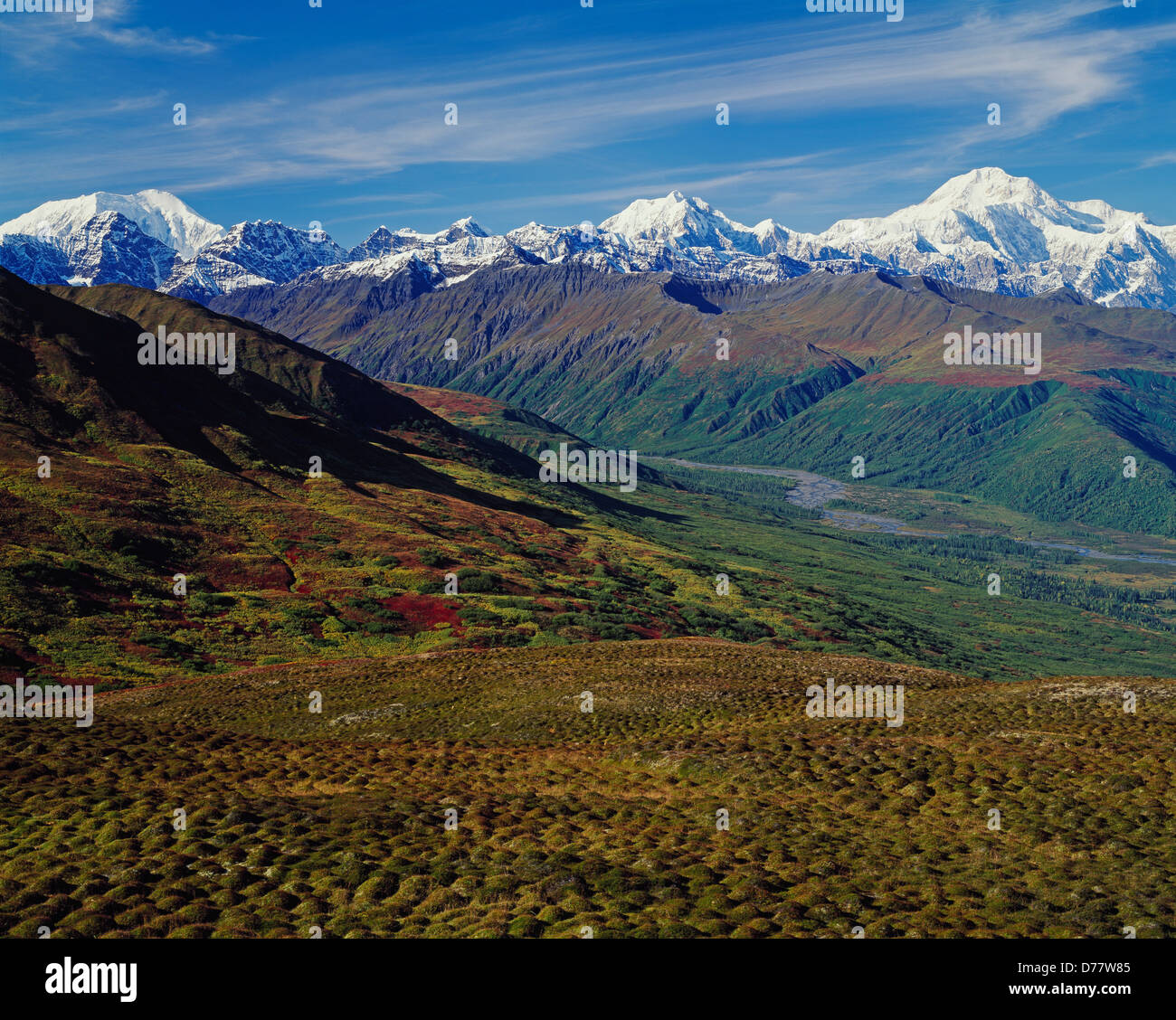 Mount Hunter 14,573 feet Denali or Mt McKinley 20,320 feet viewed ridge above Tokositna River Denali National Park Denali State Stock Photo