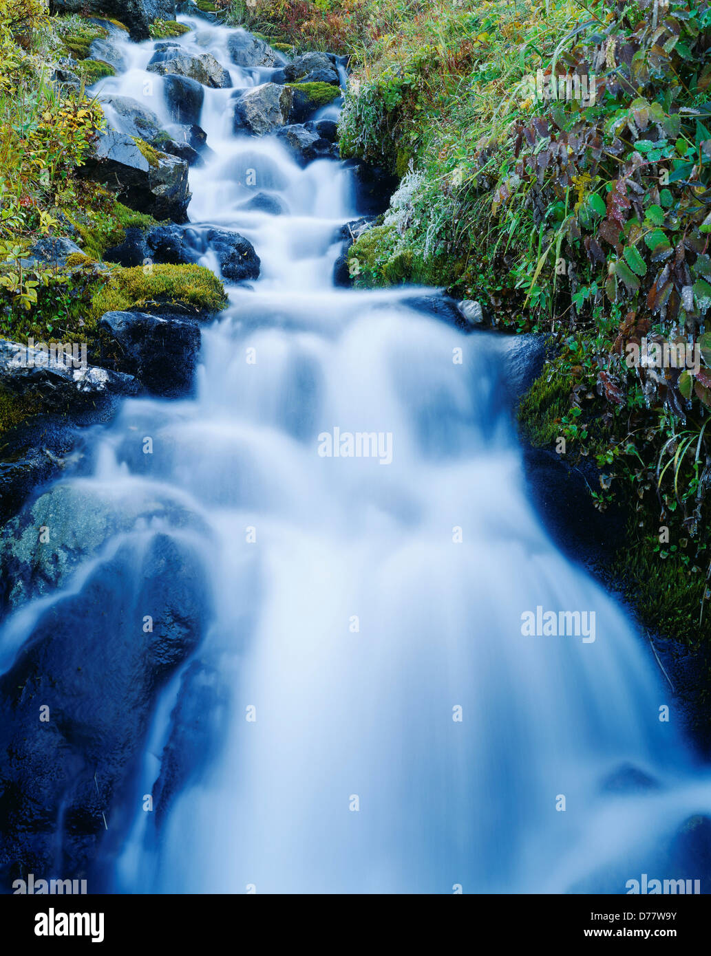 Small waterfall southwest Thorofare Pass Denali National Park Alaska. Stock Photo