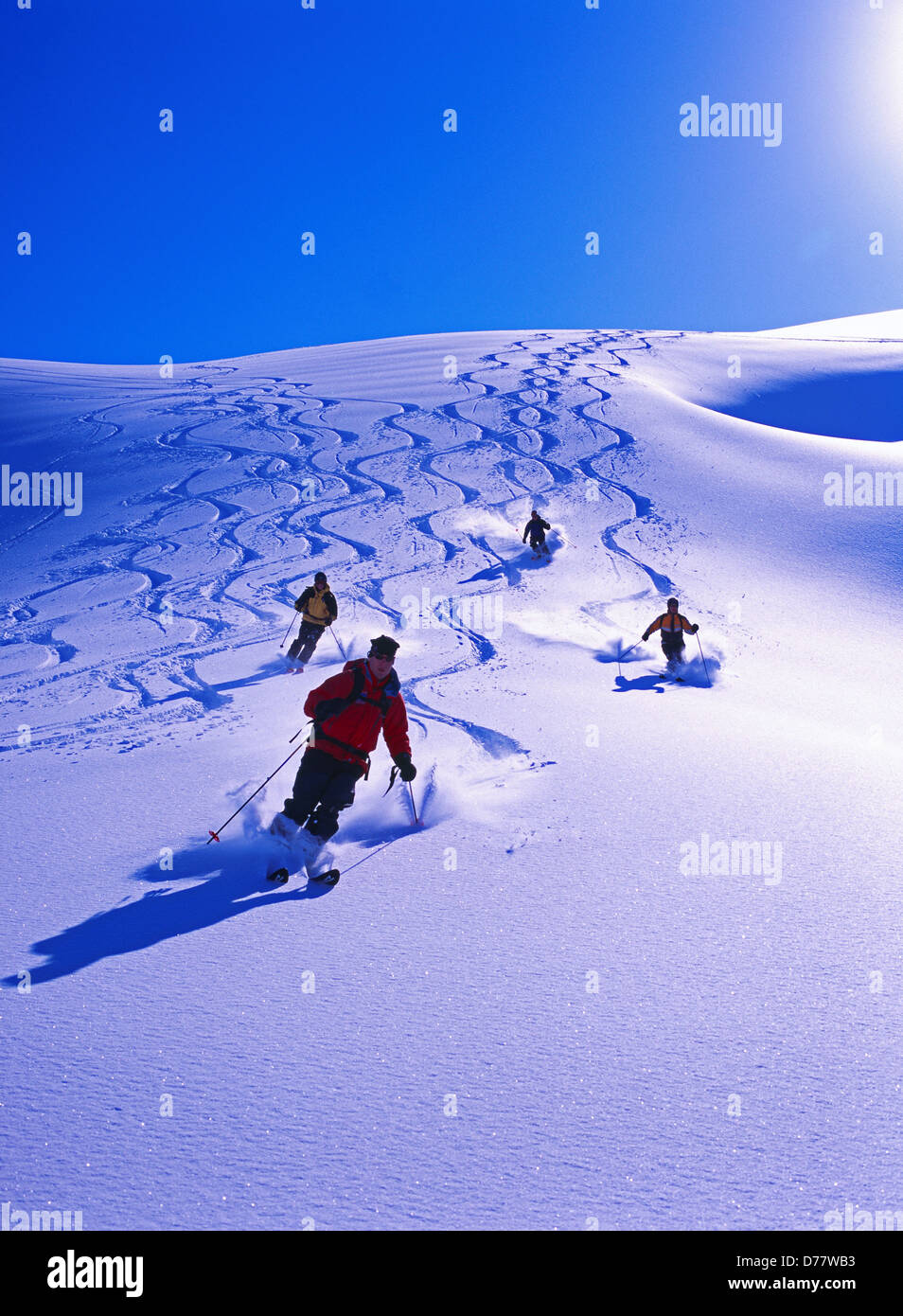 Chugach Powder Guides Heli-skiers enjoying fresh powder on Skookum Run Kenai Mountains Chugach National Forest Alaska. Stock Photo