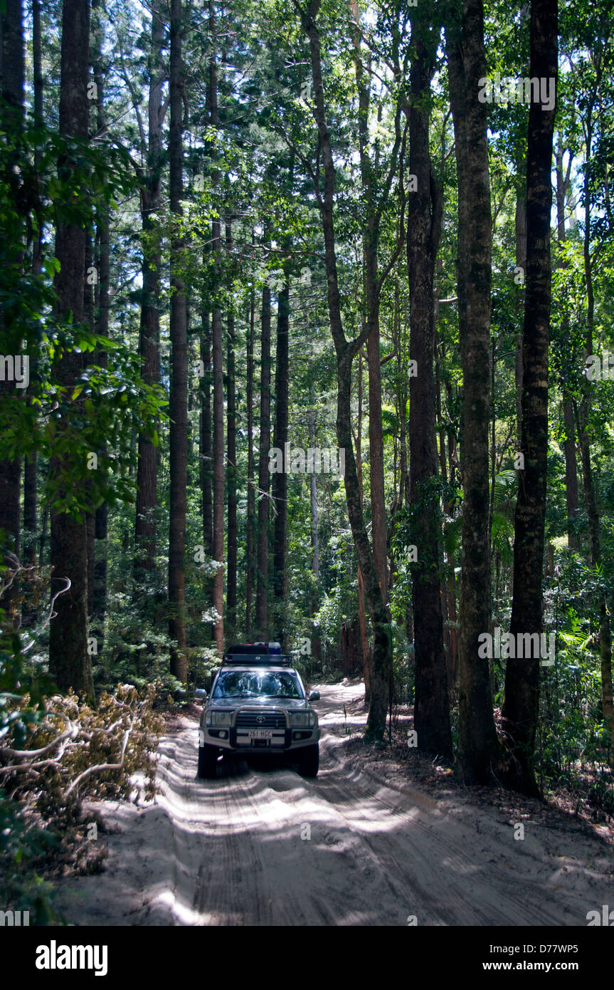 4WD vehicle on interior sand road Fraser Island Queensland Australia Stock Photo