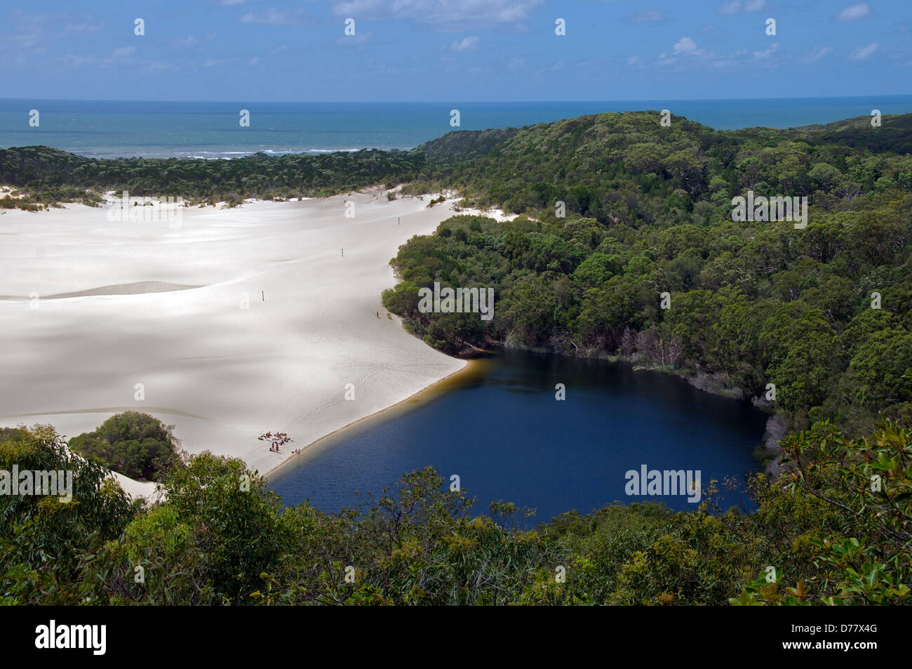 Lake Wabby Fraser Island Queensland Australia Stock Photo
