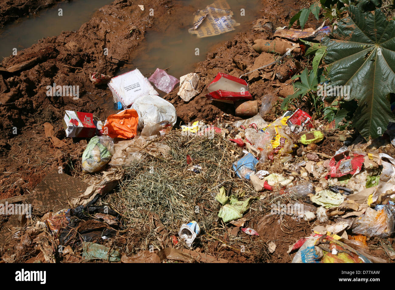 Garbage polluting ground water Stock Photo