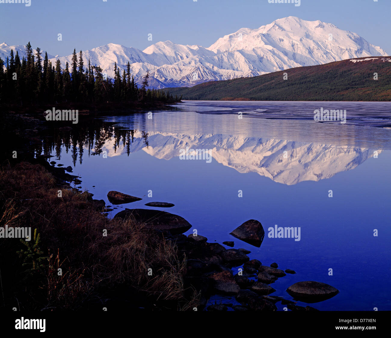 Springtime view 20,320 foot Mount McKinley or Denali Alaska Range reflected in Wonder Lake melting free ice Denali National Stock Photo
