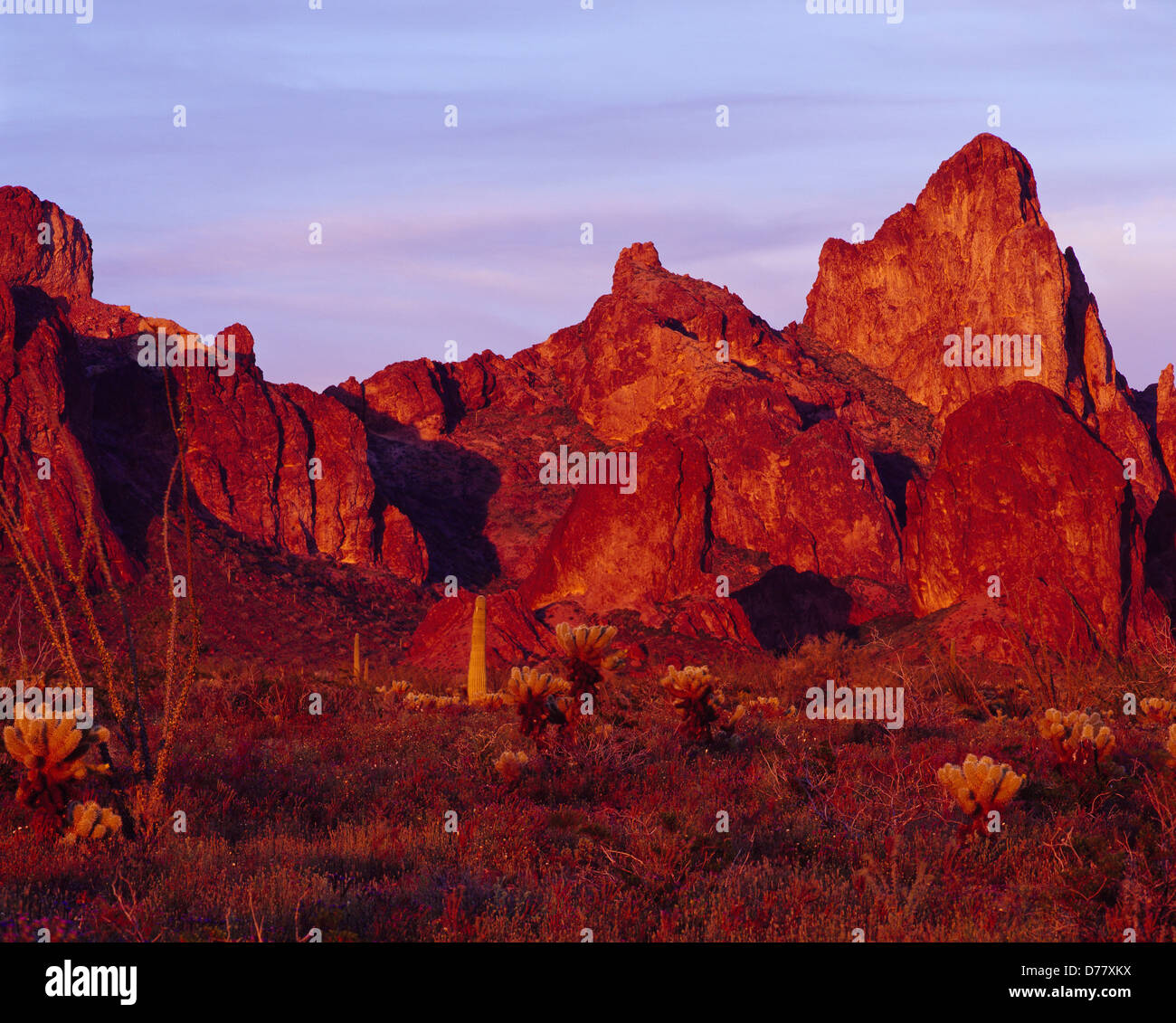 Kofa Mountains along Kofa Queen Canyon illuminated at sunset Kofa ...