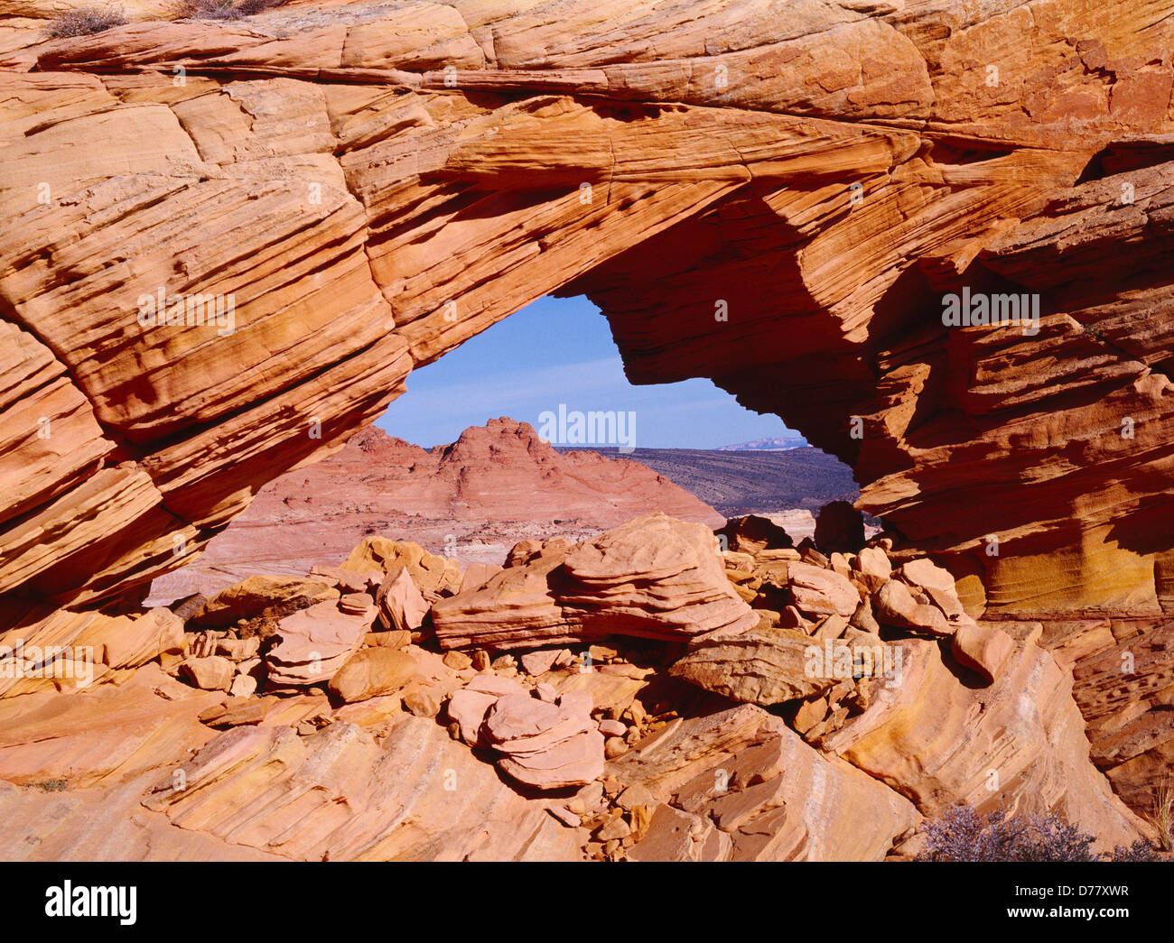Arch in cross-bedded wind-sculpted Navajo Sandstone Vermilion Cliffs National Monument Paria-Vermilion Cliffs Wilderness Stock Photo
