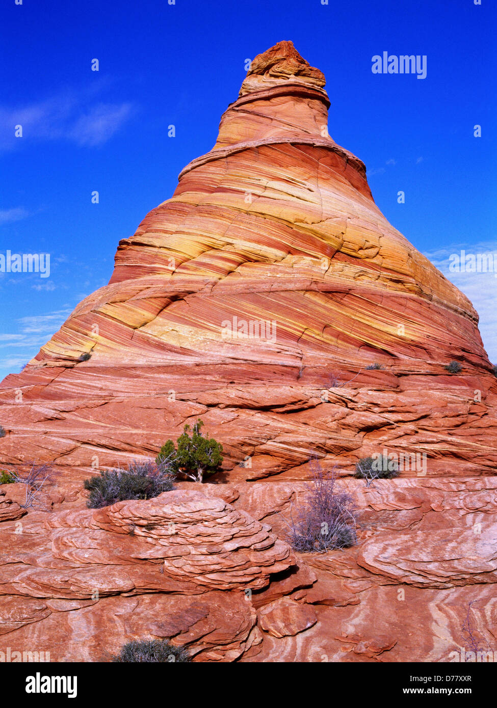 Cross-bedded beehive colorful Navajo Sandstone Vermilion Cliffs National Monument Paria-Vermilion Cliffs Wilderness Arizona Stock Photo